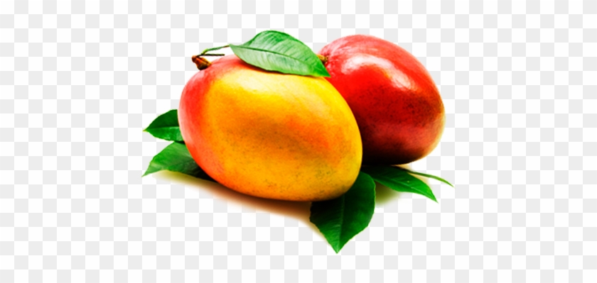 Mango - Nectarine #984606
