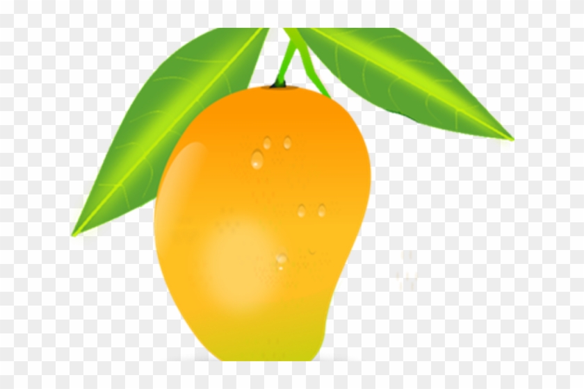 Realistic Clipart Mango - Mango Clipart #984618