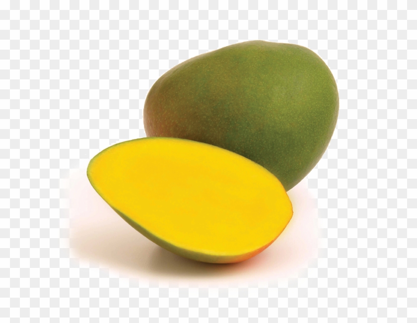 Mango - Kent - Mango Kent Png #984643