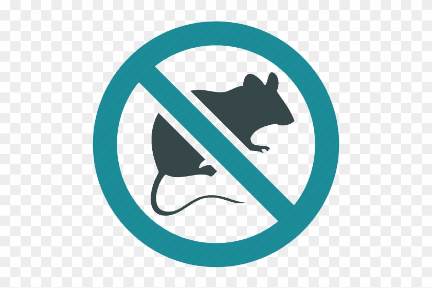 Null Pest Control Services Rat - No Shopping Trolleys Beyond This Point #984650
