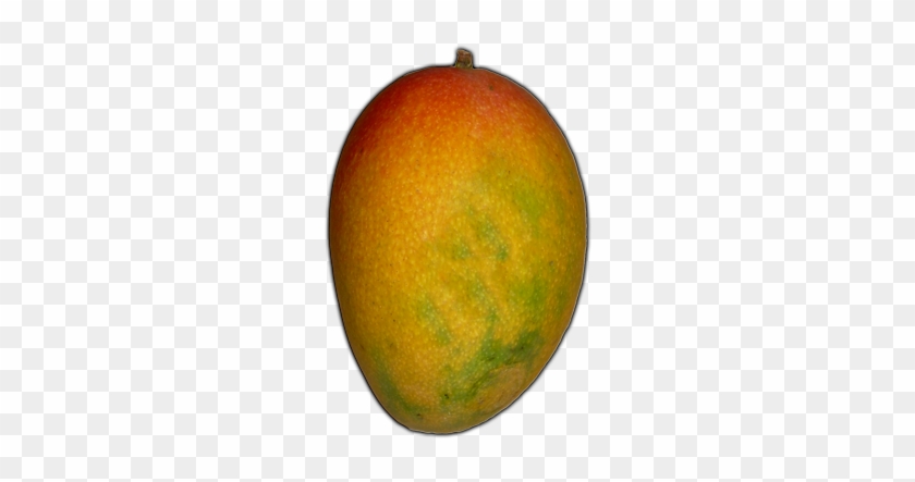 Best Free Mango High Quality Png - Mangifera Indica #984665