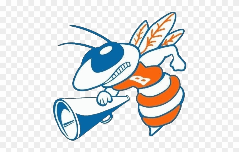 Bartow Cheerleaders Will Strive For Excellence In Academics, - Bartow Cheerleaders Will Strive For Excellence In Academics, #984668