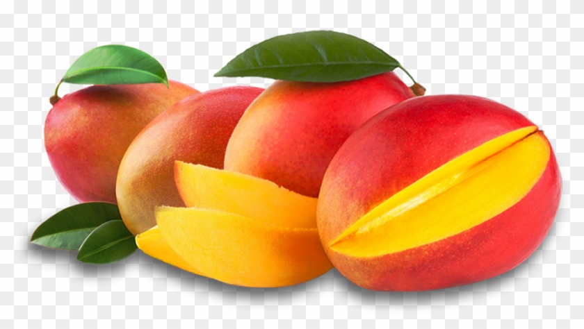 Mango - Mango #984686