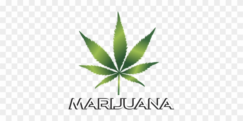 Background Black Cannabis Culture Design D - Weed Clip Art #984854