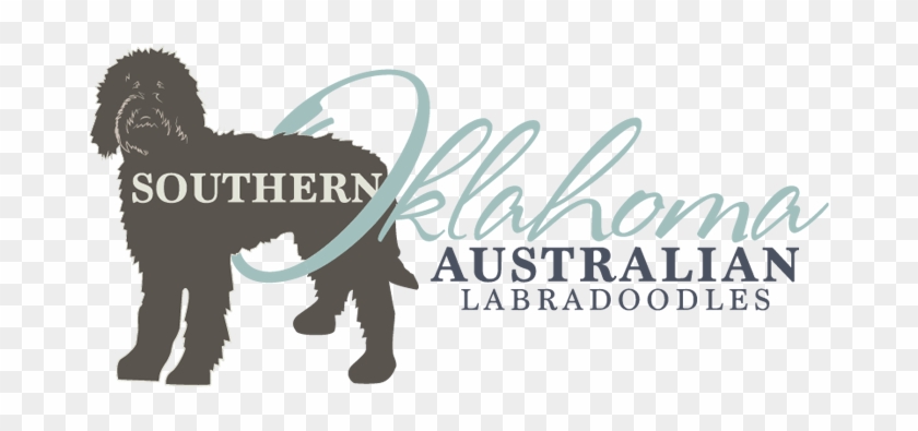 Labradoodle Dog Breeder Logo Design Rieger Ranch - Labradoodle #985432