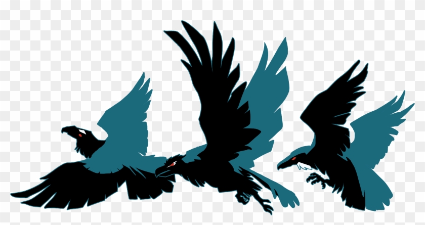 Umbagog - Hawk #985488