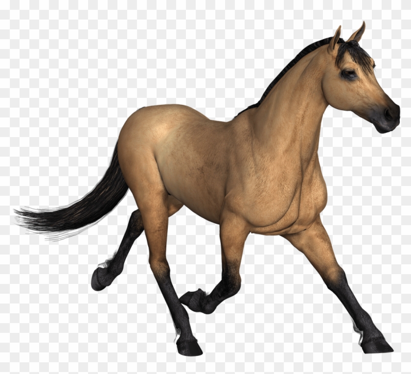 Brown Horse Running - Imagenes De Animales En Png #986704