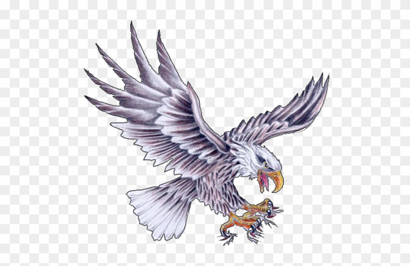 Eagle - Eagle Tattoo Flash Art #986721