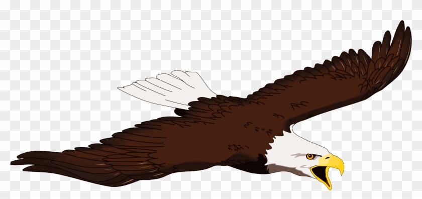 Eagle Icon Clipart - Icon #986828