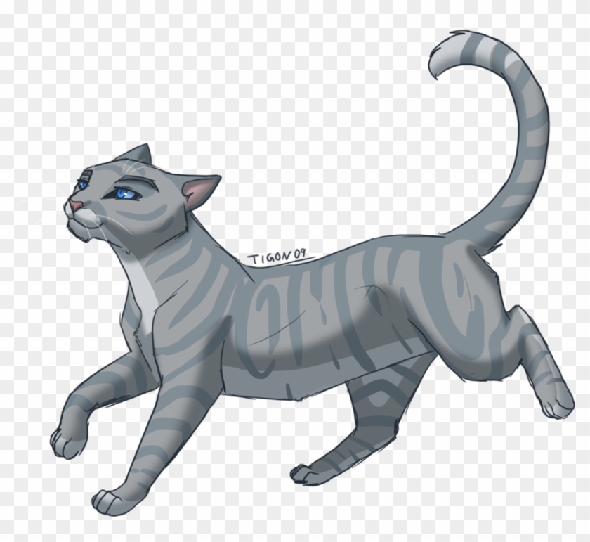 Height=447]http - Warriors Cats Silverstream #986856