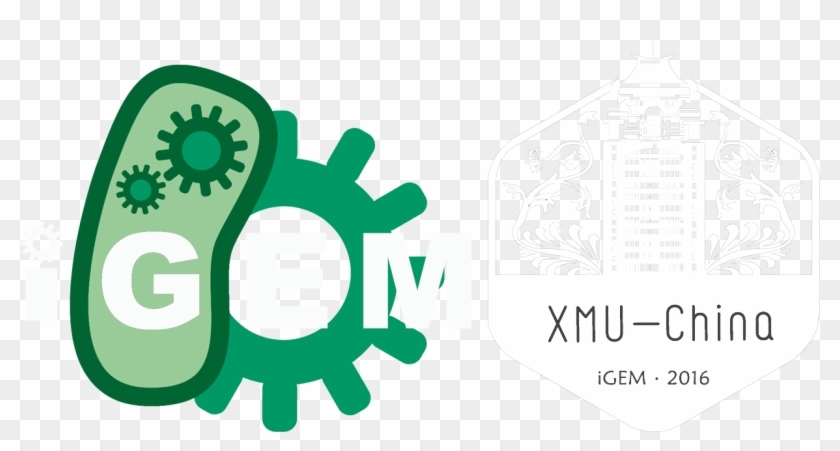 Igem - International Genetically Engineered Machine - Full Size PNG ...