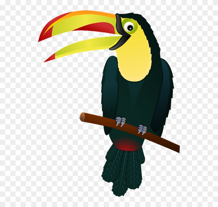 Cartoon Toucan Pictures 2, Buy Clip Art - Toucan Clip Art #987048