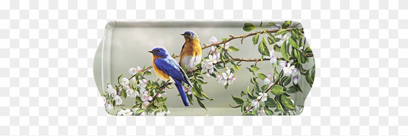 89326 Sandwichtray Bluebirds P Ashdene - Birds Pair Table Mats Pvc Dining Placemats #987073