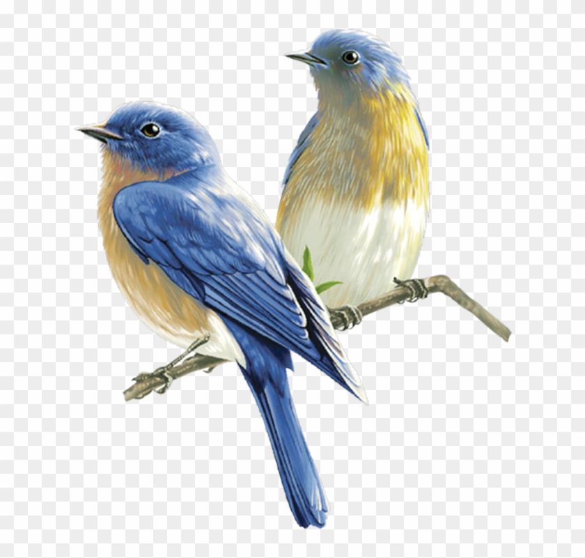 Les Meli Melo De Mamietitine - Birds Png #987077