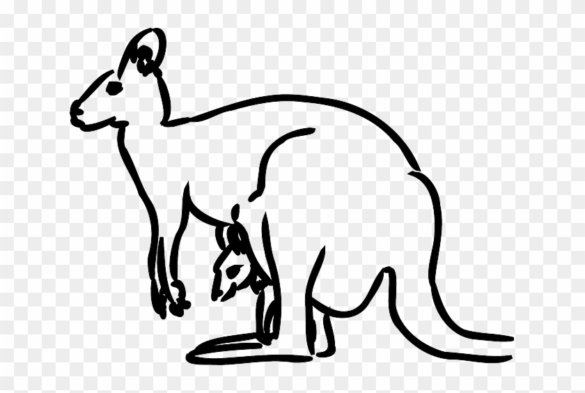 Australia Kangaroo, Baby, Animal, Mammal, Jumping, - Kangaroo Clipart #987549