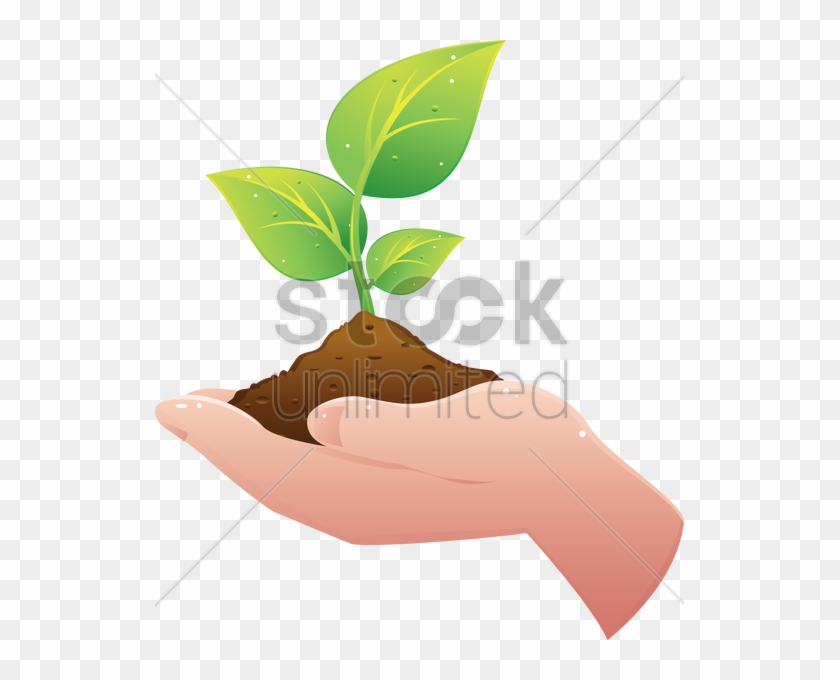 Plant Hand Soil Clip Art - Hand Holding Plant Clipart #988142