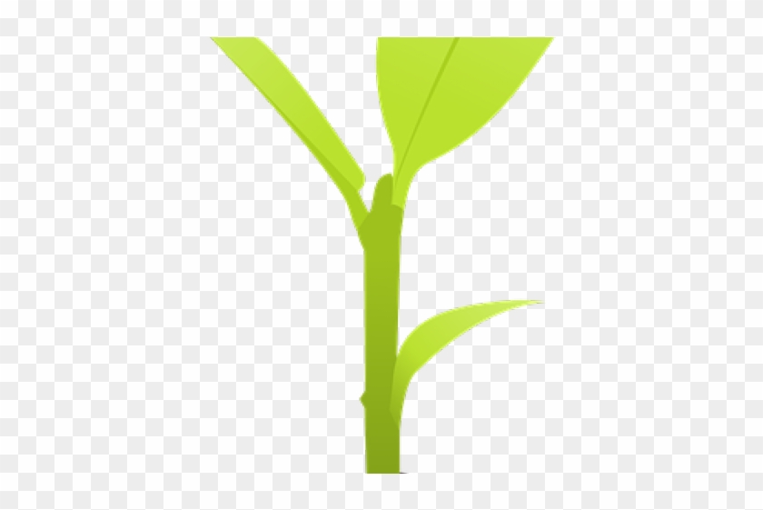 Soil Clipart Flower Growth - Small Plant Png #988145