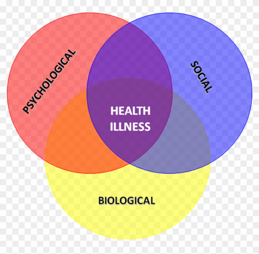 Biopsychsocial-model - Biological Model Of Health #988150