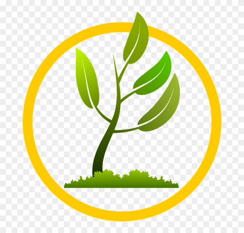 Free Vector Graphic - Small Plant Growing Png #988209