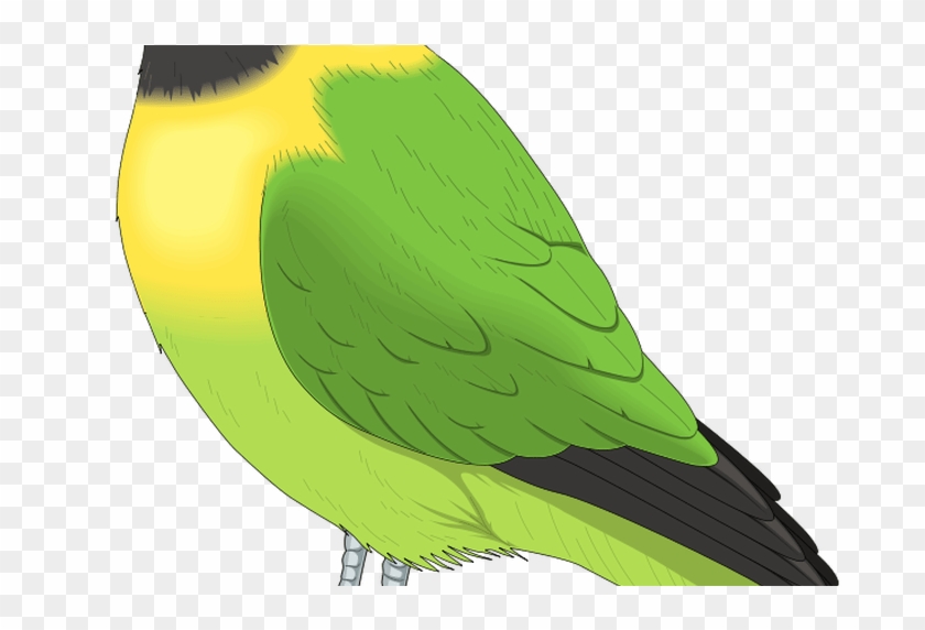 Cute Bird Clipart Free Download Clip Art Free Clip - Cute Bird Clipart Free Download Clip Art Free Clip #988312