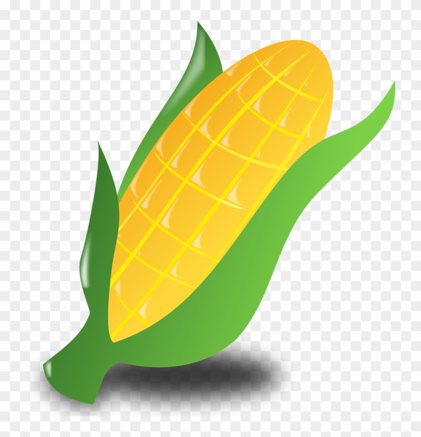 Illustration Of An Ear Of Corn - Corn Clip Art #988737
