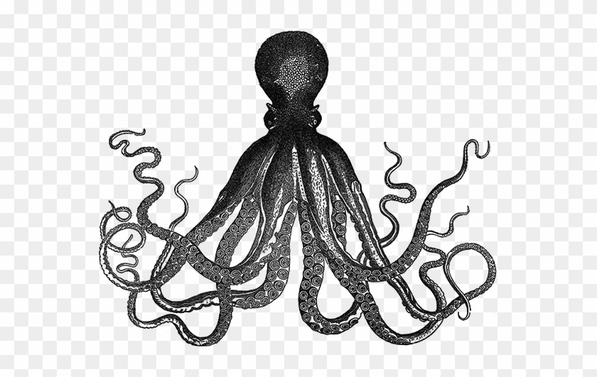 Github - Vintage Octopus Throw Blanket #988794