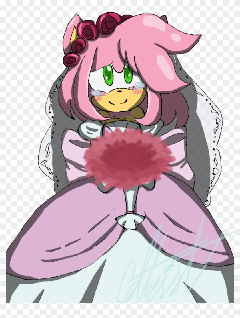 Amy Rose Amy The Hedgehog Amy Rose The Hedgehog Amy - Amy Rose #988878