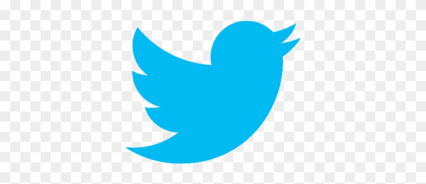 Twitter - Png Format Logo Twitter #989004