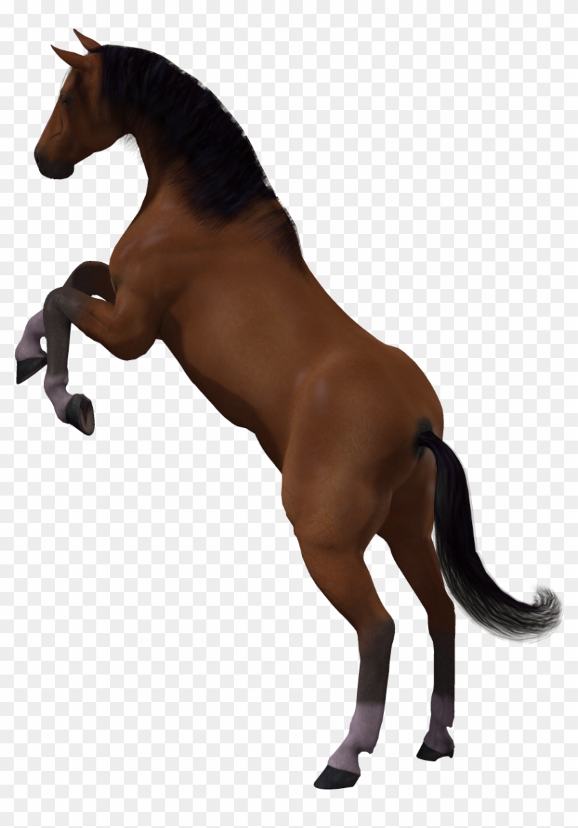 Horse 3d Computer Graphics Mane Clip Art - Horse #989117