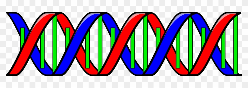 Get Notified Of Exclusive Freebies - Dna Double Helix Clip Art #989418