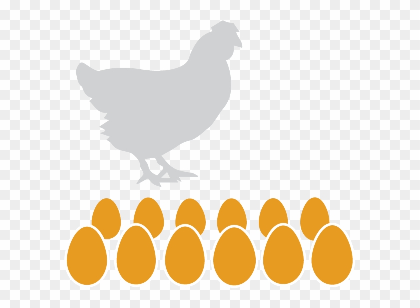 Eggs Dozen - Chicken #989463