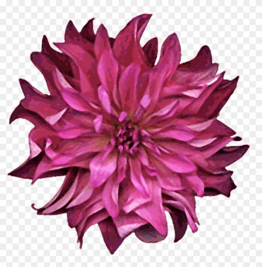 Deb's Flower Farm Www - Dahlia #989668