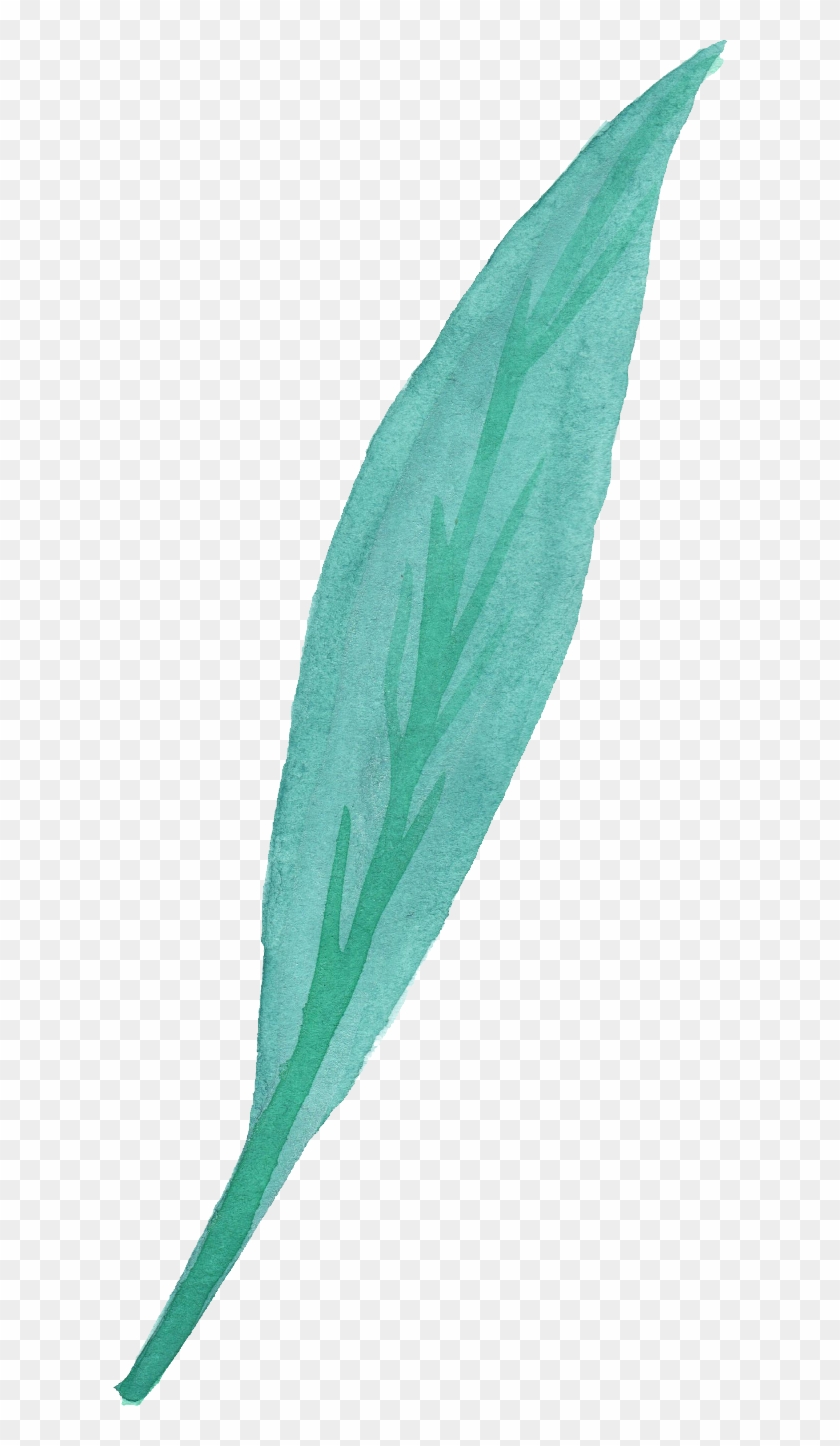 25 Watercolor - Transparency #989846