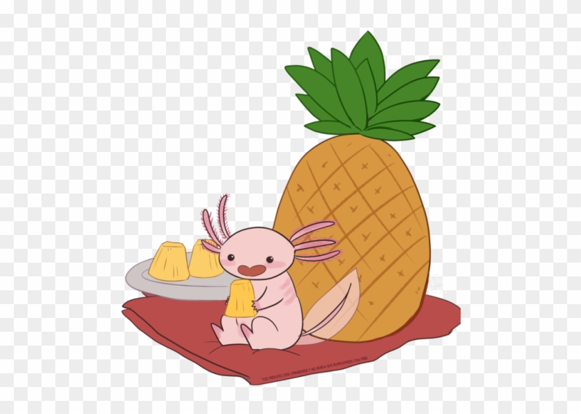 Pineapple Tumblr Png #990639