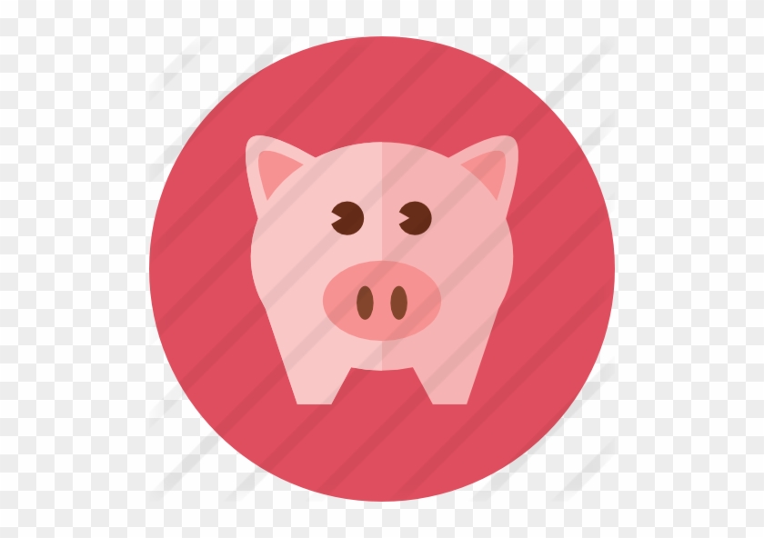 Piggy Bank - Domestic Pig #990680