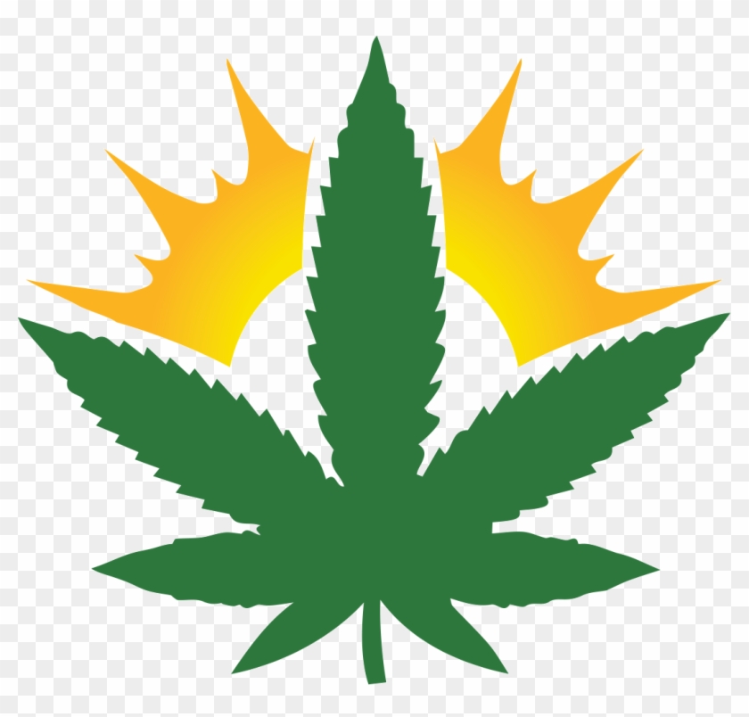 Bcbud Store - Weed Leaf Design #990838