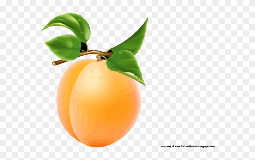 Pin Fruit Clipart Png - Png Fruits Name Clipart #990843