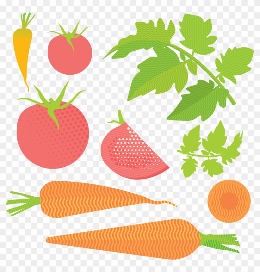 Vector Graphics #990846