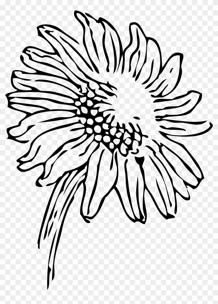 Sunflower Clipart Black And White - Clip Art #991016