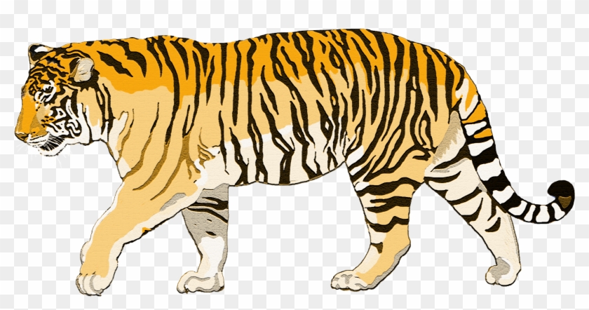 Tiger Cut Out - Tiger Walking Png #991058