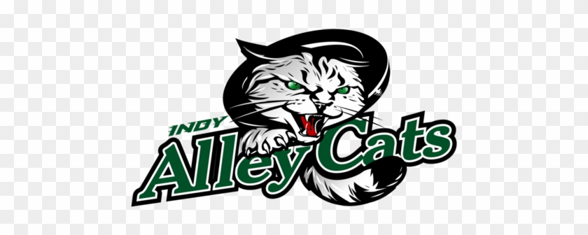 A Cat Outfit Is Kind Of Cliche For Halloween, So It - Alley Cats Softball Logo #991111
