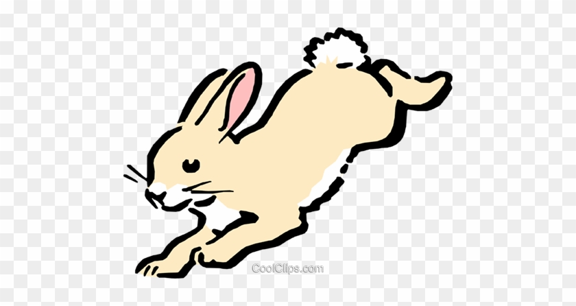Pictures Bunny Hop Clip Art Hopping Rabbit Clip Art Free Transparent Png Clipart Images Download