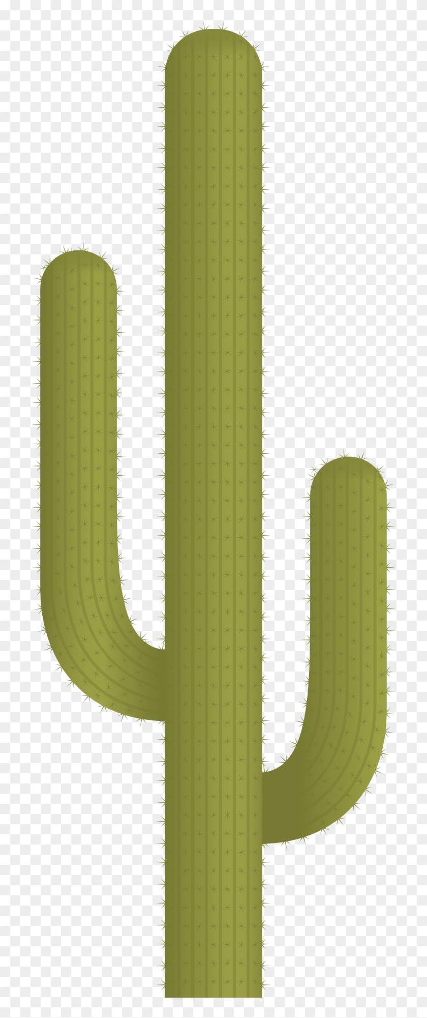 Cactus Plant Vector Png Image - Transparent Background Png Cactus #991876