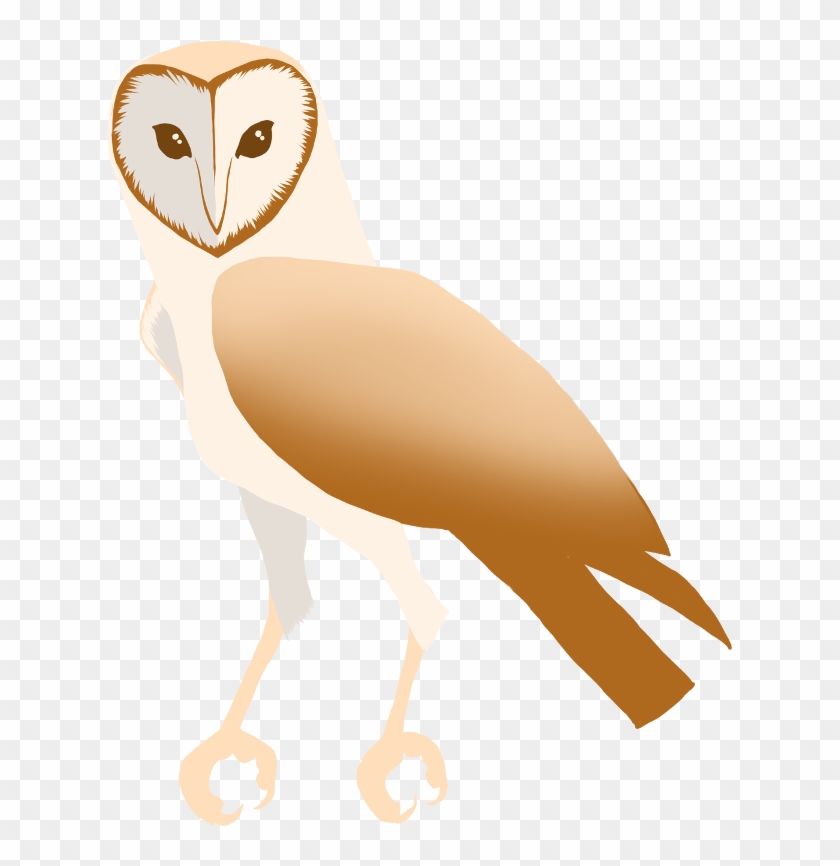 Barn Owl By Puffbird - Screech Owl #991926