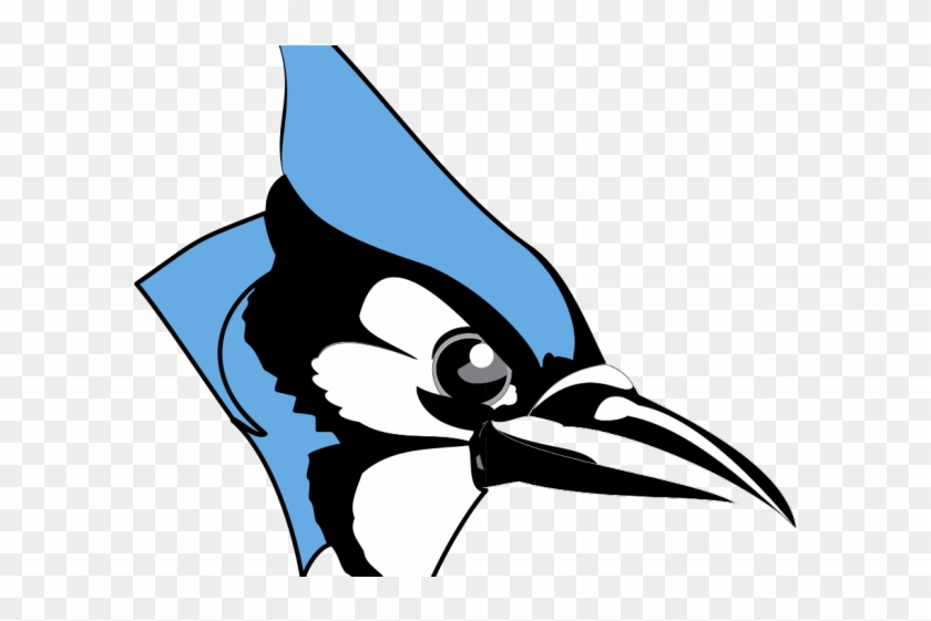 Blue Jay Clipart Johns Hopkins - Johns Hopkins Blue Jays #992413