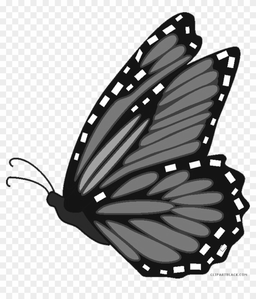 Monarch Butterfly Clipart Clipartblack Com Rh Clipartblack - Butterfly Monarch Clip Art #992516