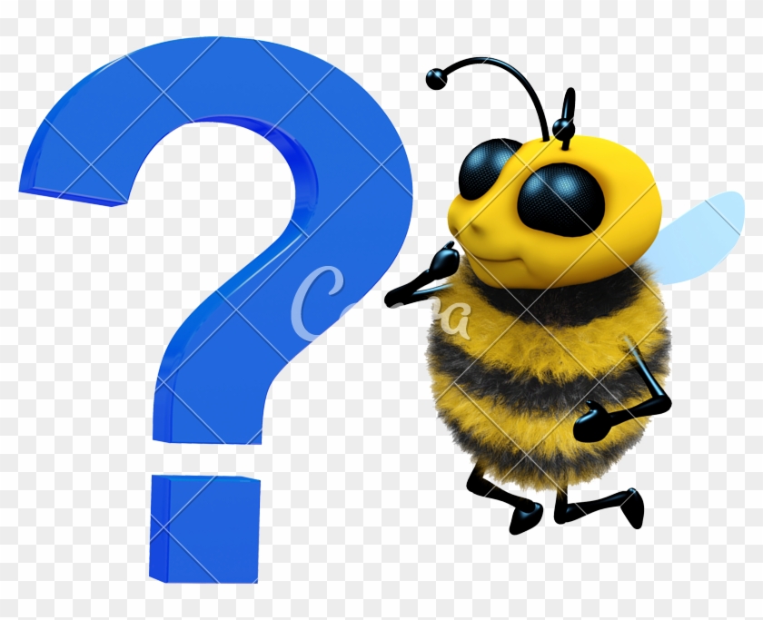 3d Honey Bee Question Mark - Bee Removal #992517