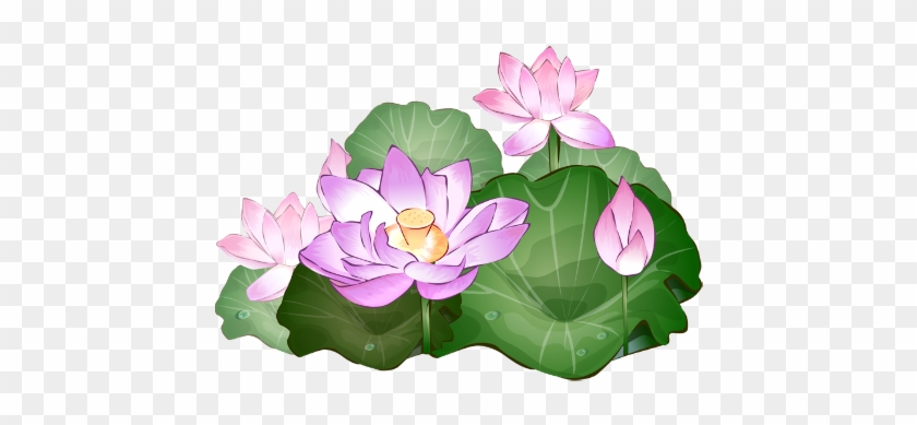Lotus Flower Clipart #993160