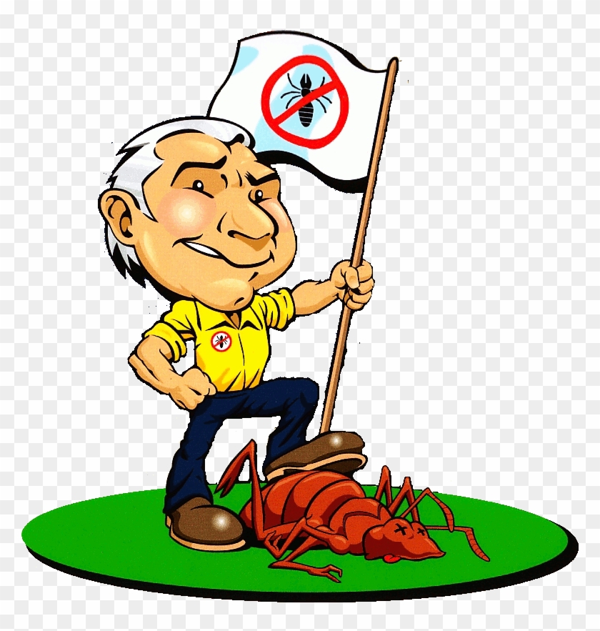 Cockroach Removal - Pest Control #993265