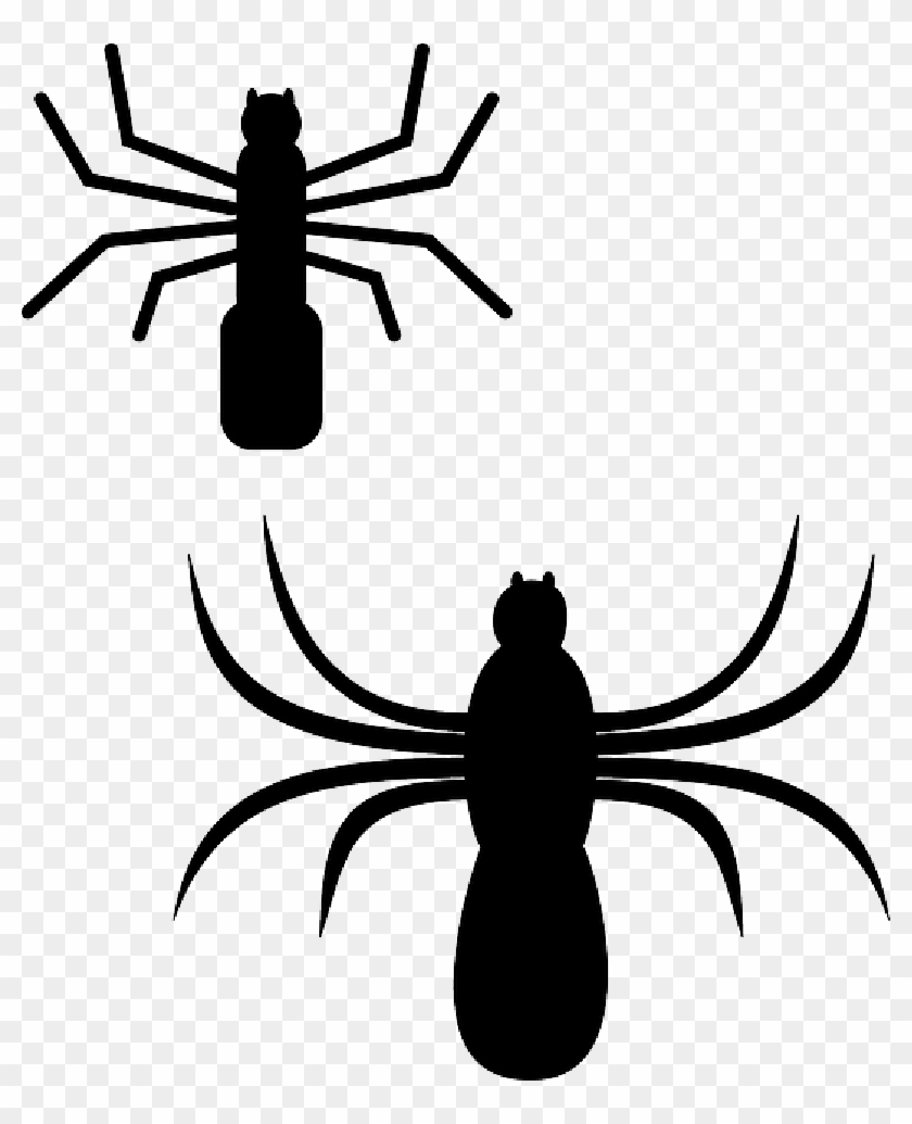 Free Pictures Spider - Spiders Clip Art #993756